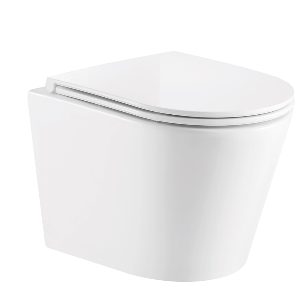 Barine-WC-suspendido